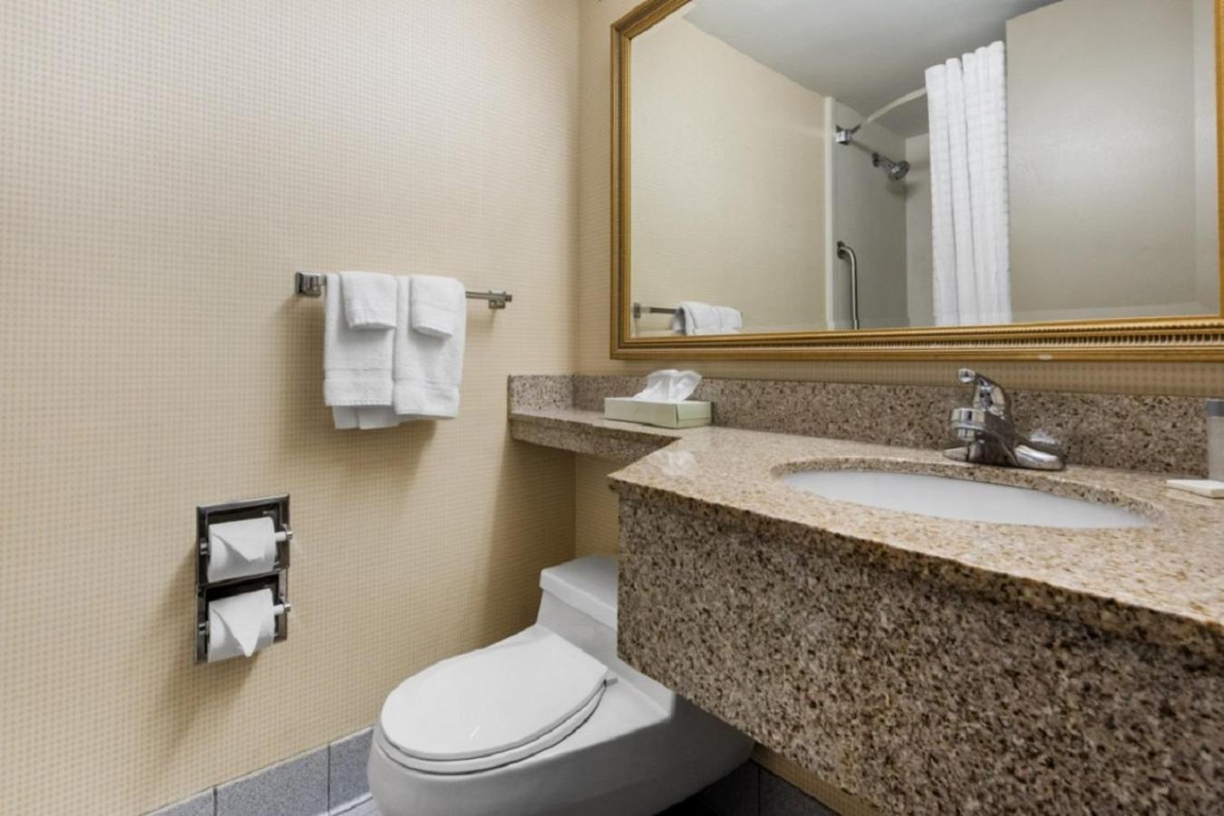 Quality Inn & Suites Charleston - Civic Center מראה חיצוני תמונה